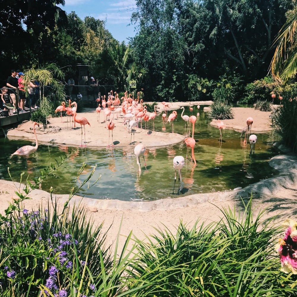 Meet your Posher, Emma